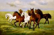 unknow artist Horses 025 France oil painting artist
